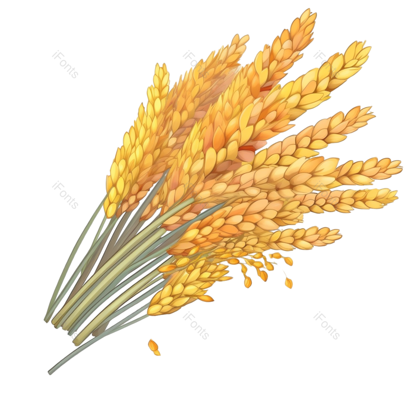 芒种图片,元素元素,麦子PNG,插画免抠素材